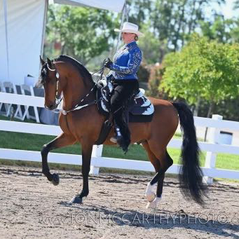 Carlos under saddle